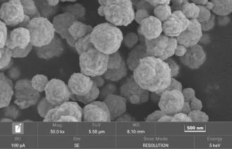 NKY® Nano PVP K12~120